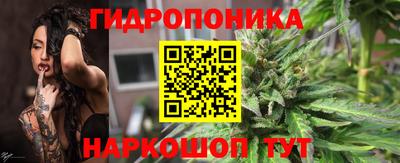 spice Камышлов