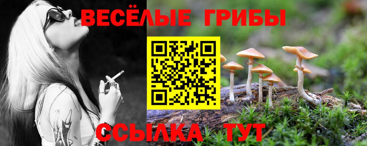 Псилоцибиновые грибы Psilocybine cubensis  Галлюциногенные грибы Psilocybe  Вход с VPN  Краснодар 