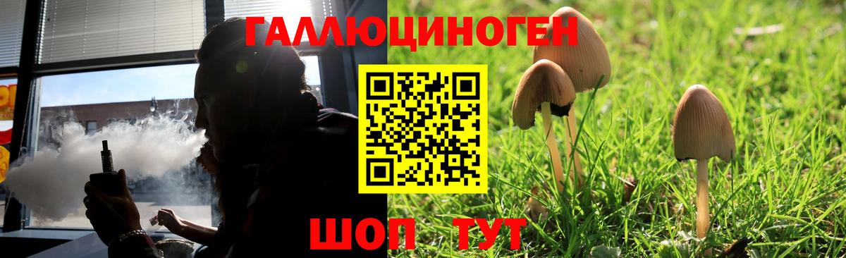 Псилоцибиновые грибы мицелий Краснодар